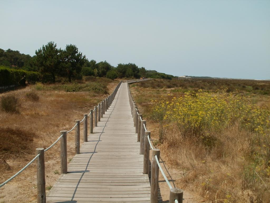 Bestvillas Park Ofir エシュポゼンデ エクステリア 写真